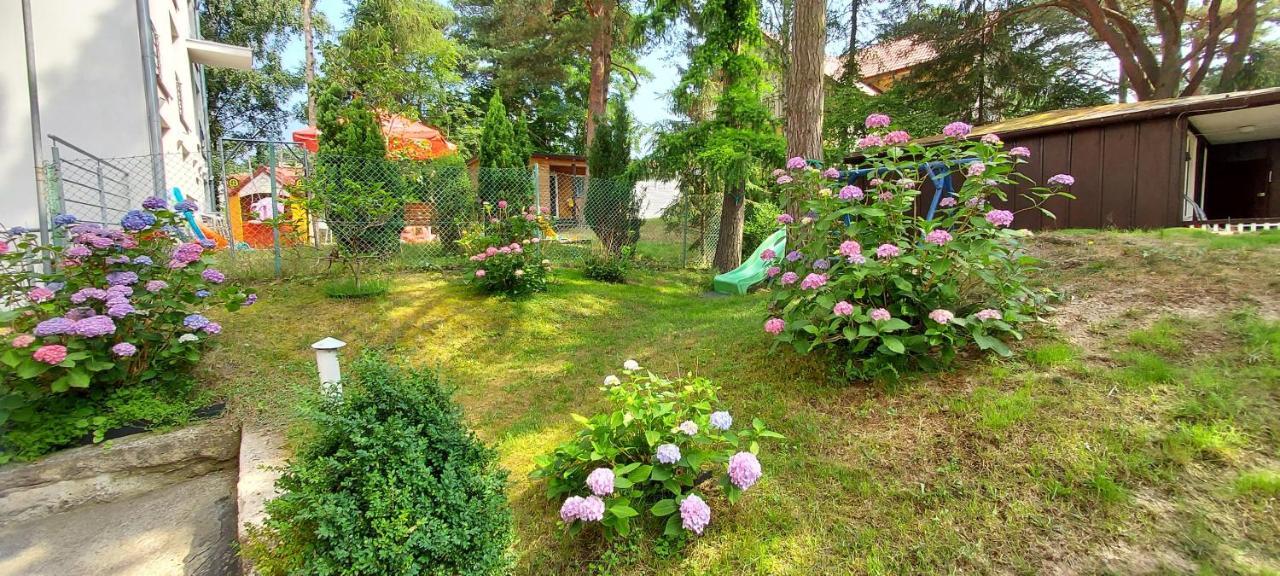 Villa Azalia Jastrzębia Góra Exterior foto
